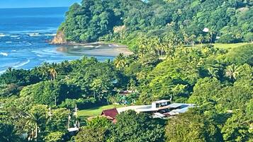 A coastal area with lush greenery, a beach, and a small building with a red roof.