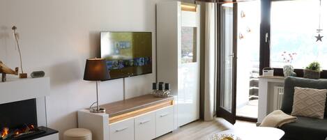 Televisor intel·ligent, llar de foc, videojocs i llibres