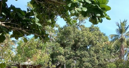 Chacara Delfino 8 bedrooms, sleeps 20 people 21 km from Estancia
