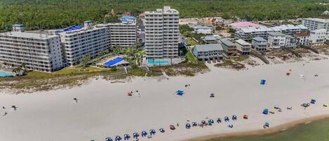 Condo, 1 Queen Bed with Sofa bed (Tradewinds 503) | Beach | On the beach