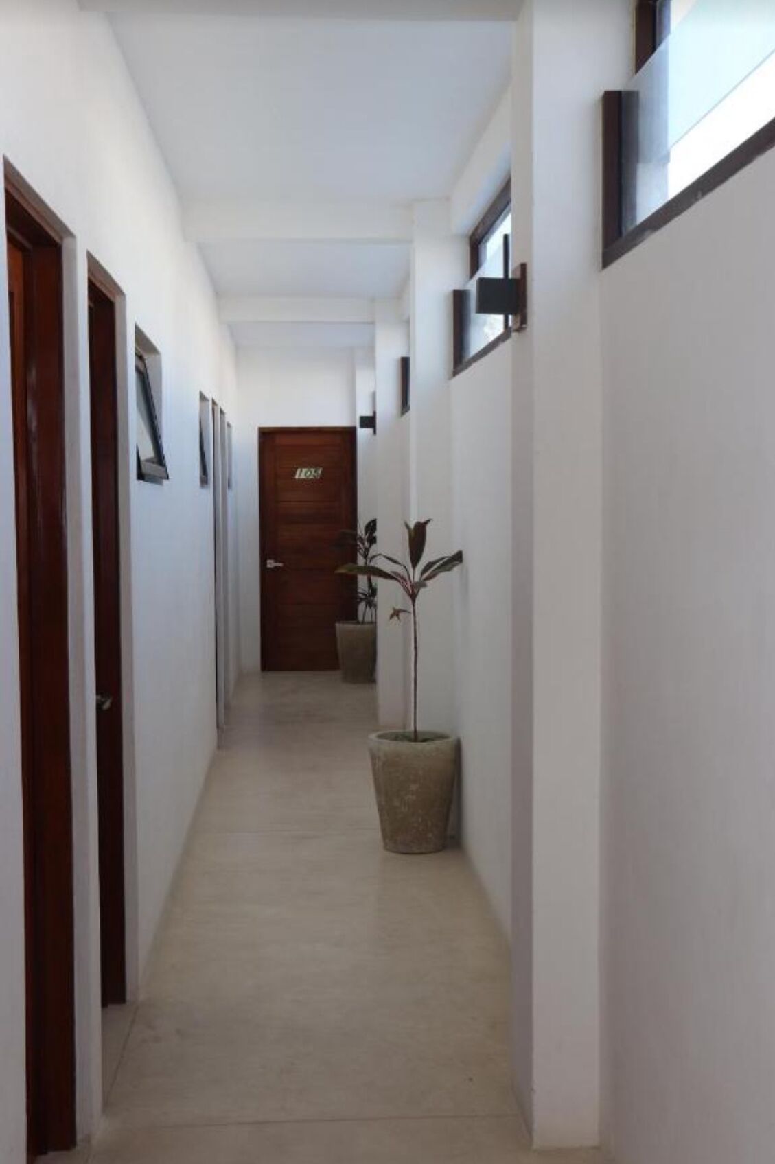 Un pasillo estrecho con paredes blancas y piso de baldosas. Se observan puertas de madera a la izquierda y una planta en maceta en el centro.