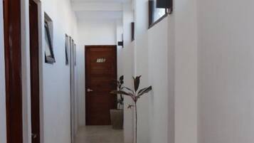 Un pasillo estrecho con paredes blancas y piso de baldosas. Se observan puertas de madera a la izquierda y una planta en maceta en el centro.