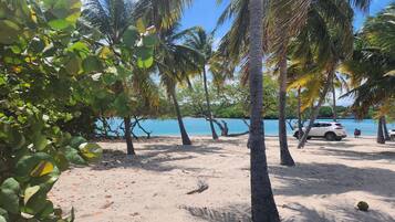 Tumbonas y toallas de playa