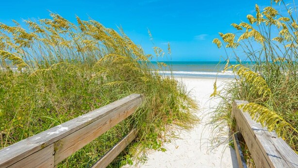 A wooden pathway leading to a beach with clear blue skies.