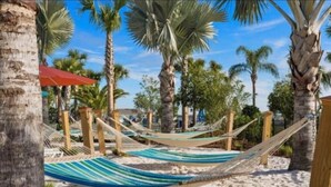 Escena de playa con hamacas y palmeras.