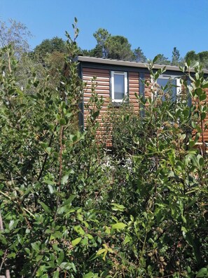 Mobile Home, 1 Bedroom, Smoking, Patio | Garden