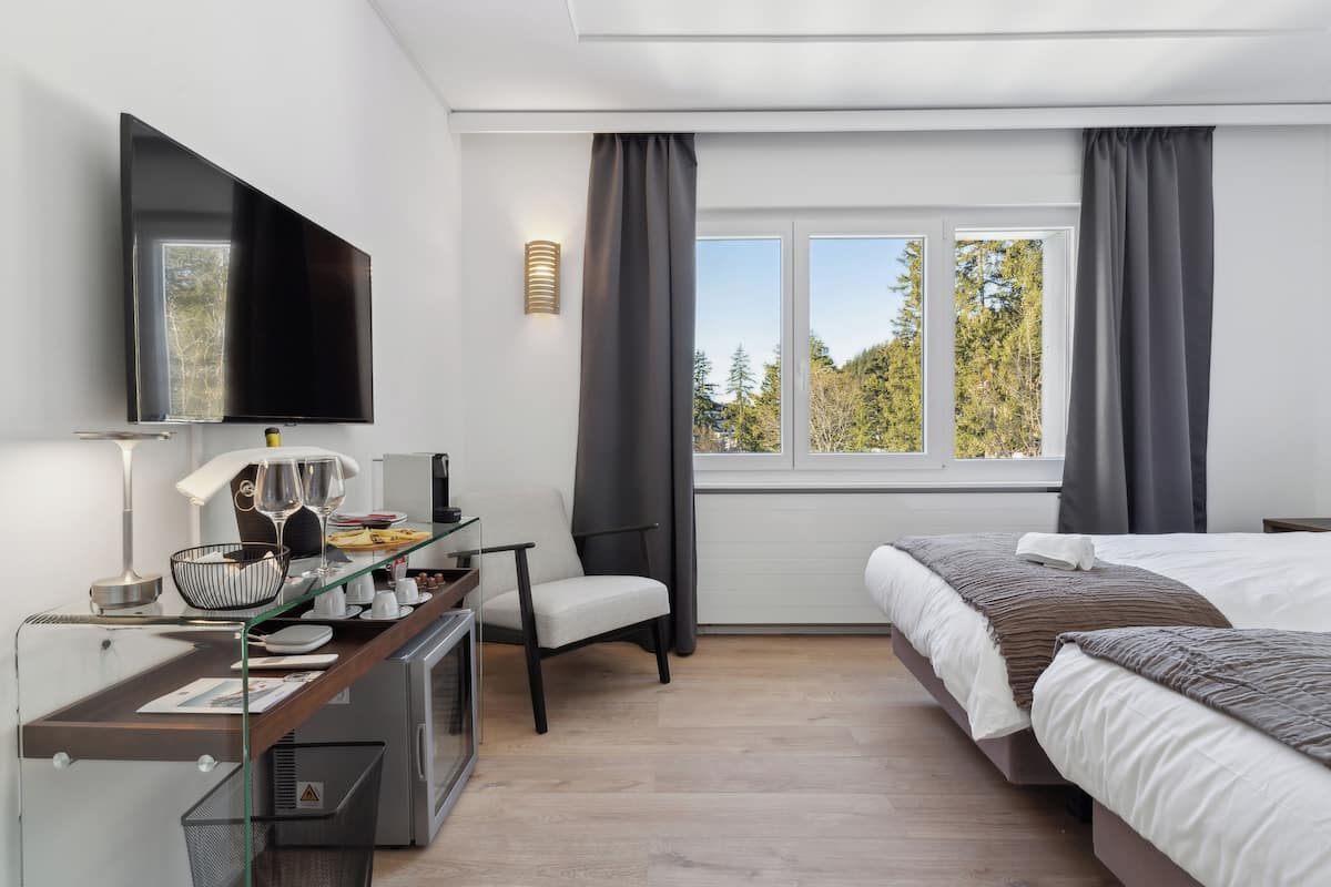 Superior Double or Twin Room, Private Bathroom, Valley View