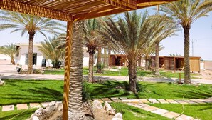 Un espacio al aire libre techado, con palmeras, senderos de piedra y un edificio al fondo.