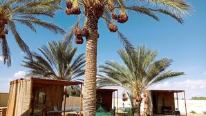 Una palmera con dátiles, una estructura de madera con un banco y una hamaca.