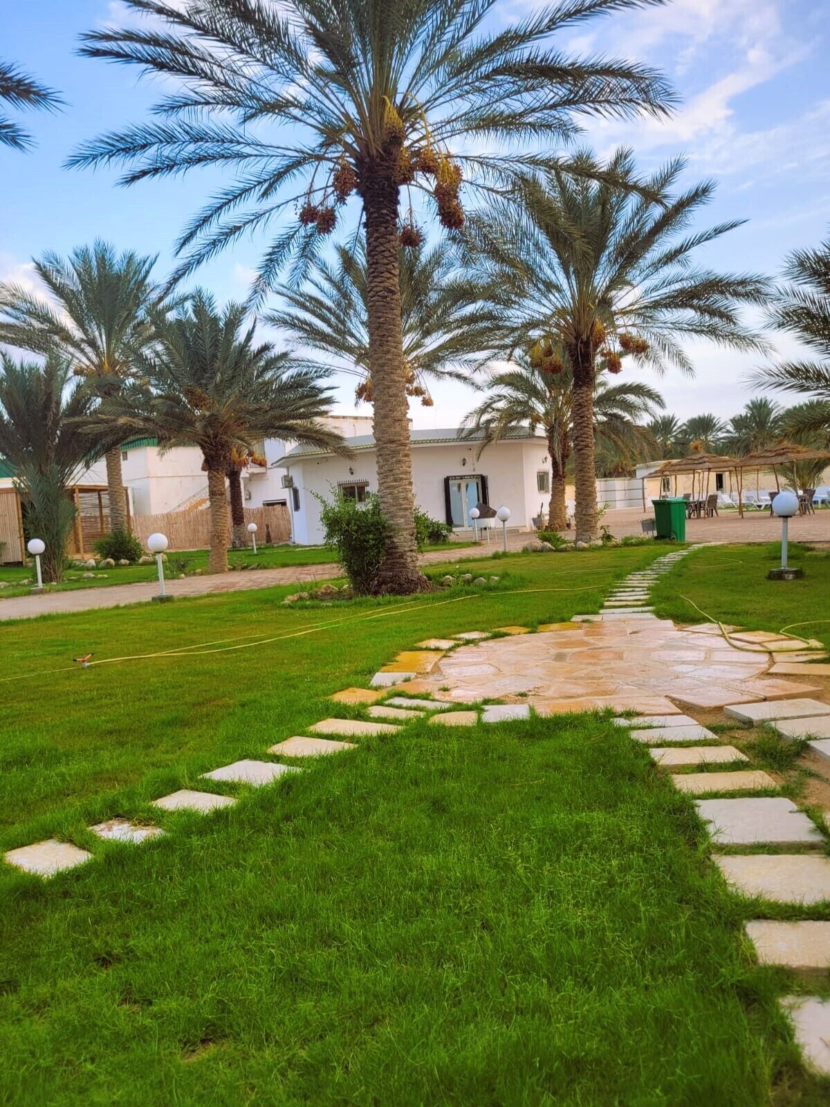 A pathway leading to a building surrounded by palm trees and a well-maintained lawn.