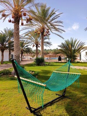 Property grounds - Bungalow Kintichi (Douz)