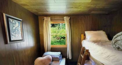 Charming 2-bedroom cottage lake property with two piers, kayaks and fire pit!