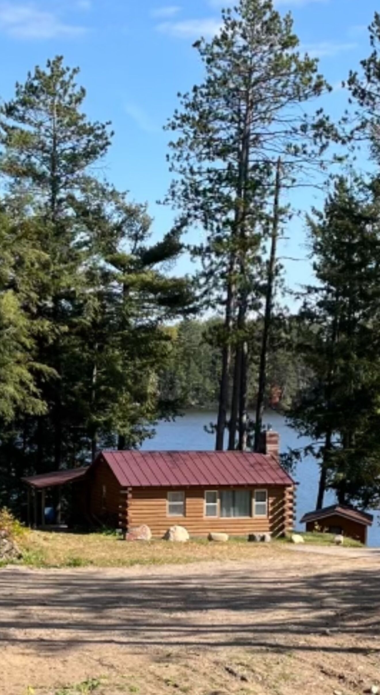 A log cabin with a metal roof, situated by a lake surrounded by tall pine trees.