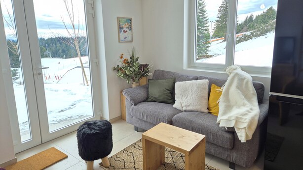Ein Wohnzimmer mit grauem Sofa, einem Holztisch und einem großen Fenster mit Blick auf Schnee.