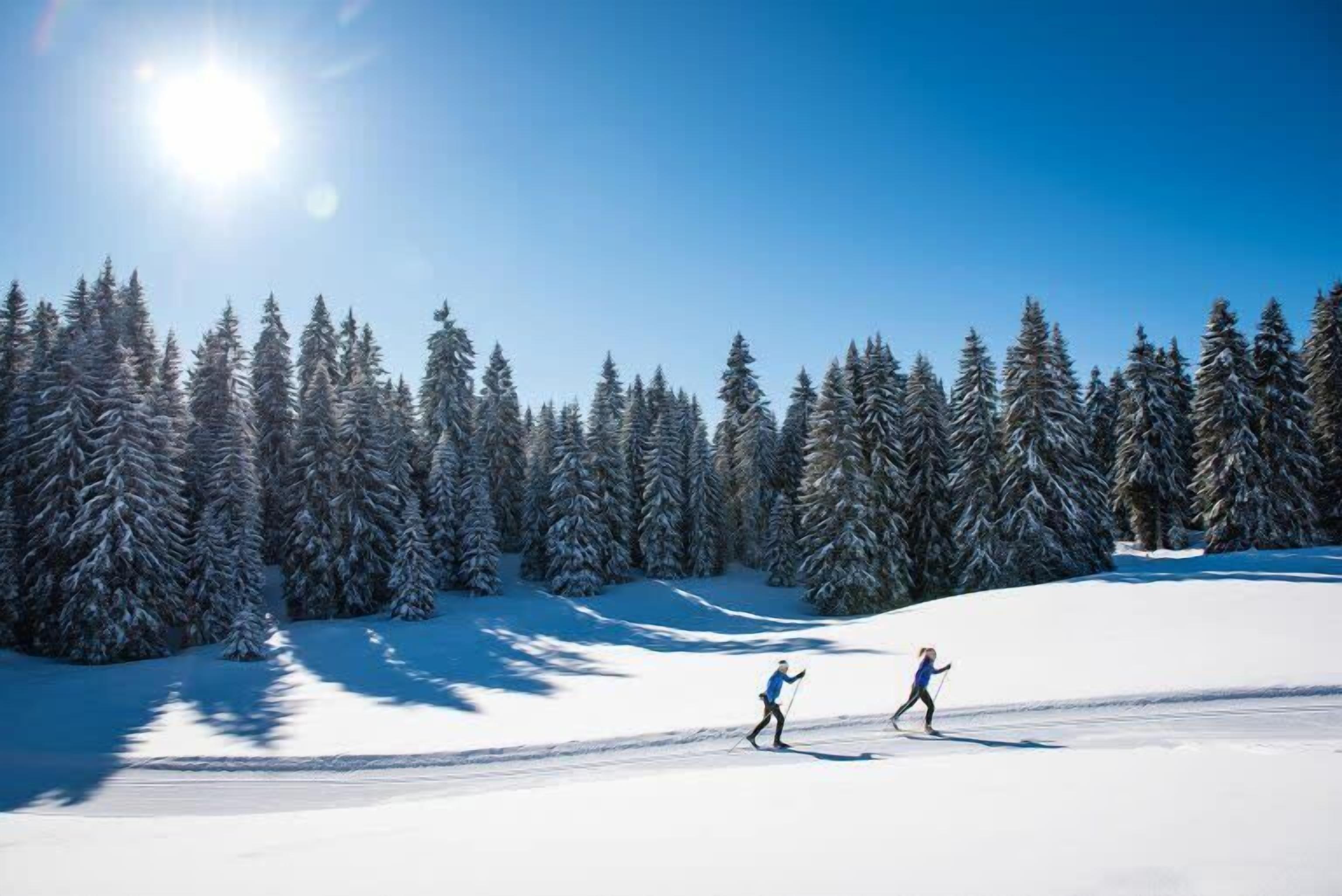 Schneebedeckte Landschaft mit zwei Skifahrern und einem Wald aus verschneiten Bäumen.