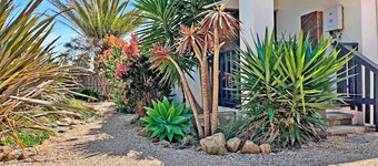 Infinity at Surf Beach