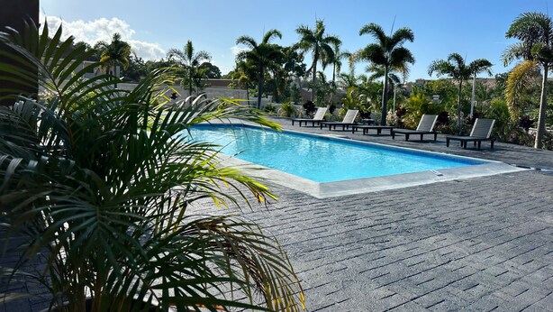 Una piscina con sillas de descanso y palmeras.
