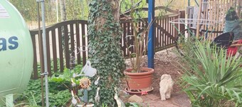 Small, cozy, newly renovated apartment in Nuthetal, between Potsdam and Berlin!