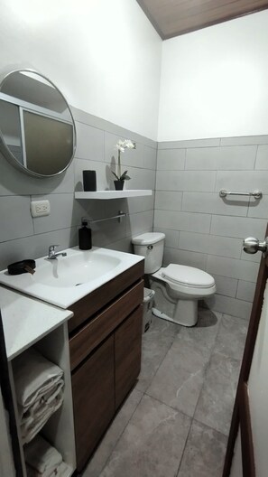 Hair dryer, towels, soap, toilet paper