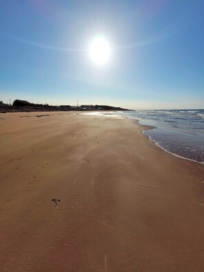 Sun-loungers, beach towels