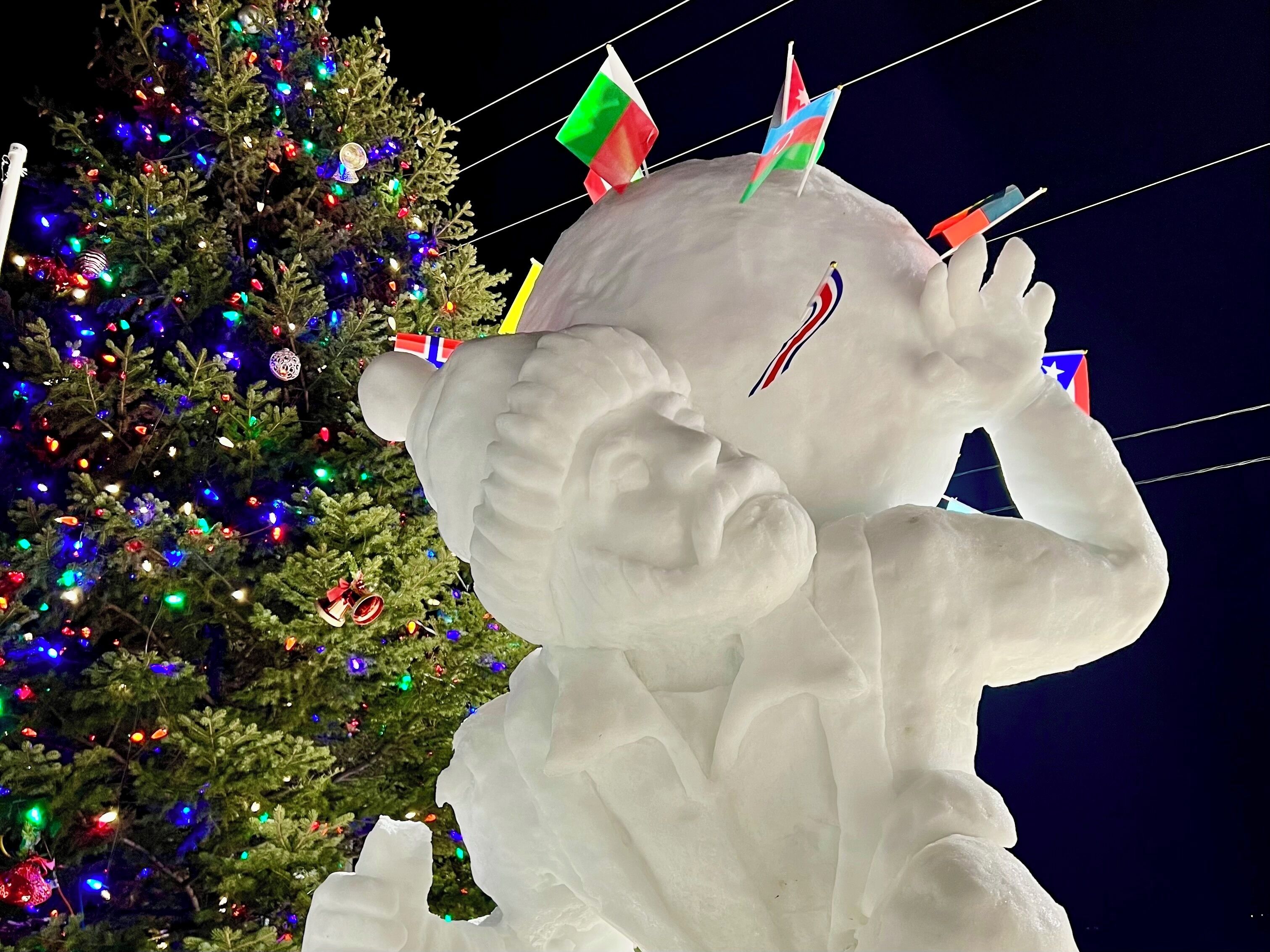 Downtown Event - World snow sculpture championships every January.