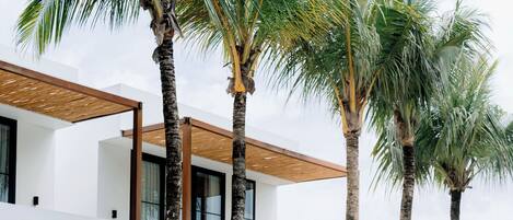 Un área moderna junto a la piscina con sillones de descanso, piscina y altas palmeras.