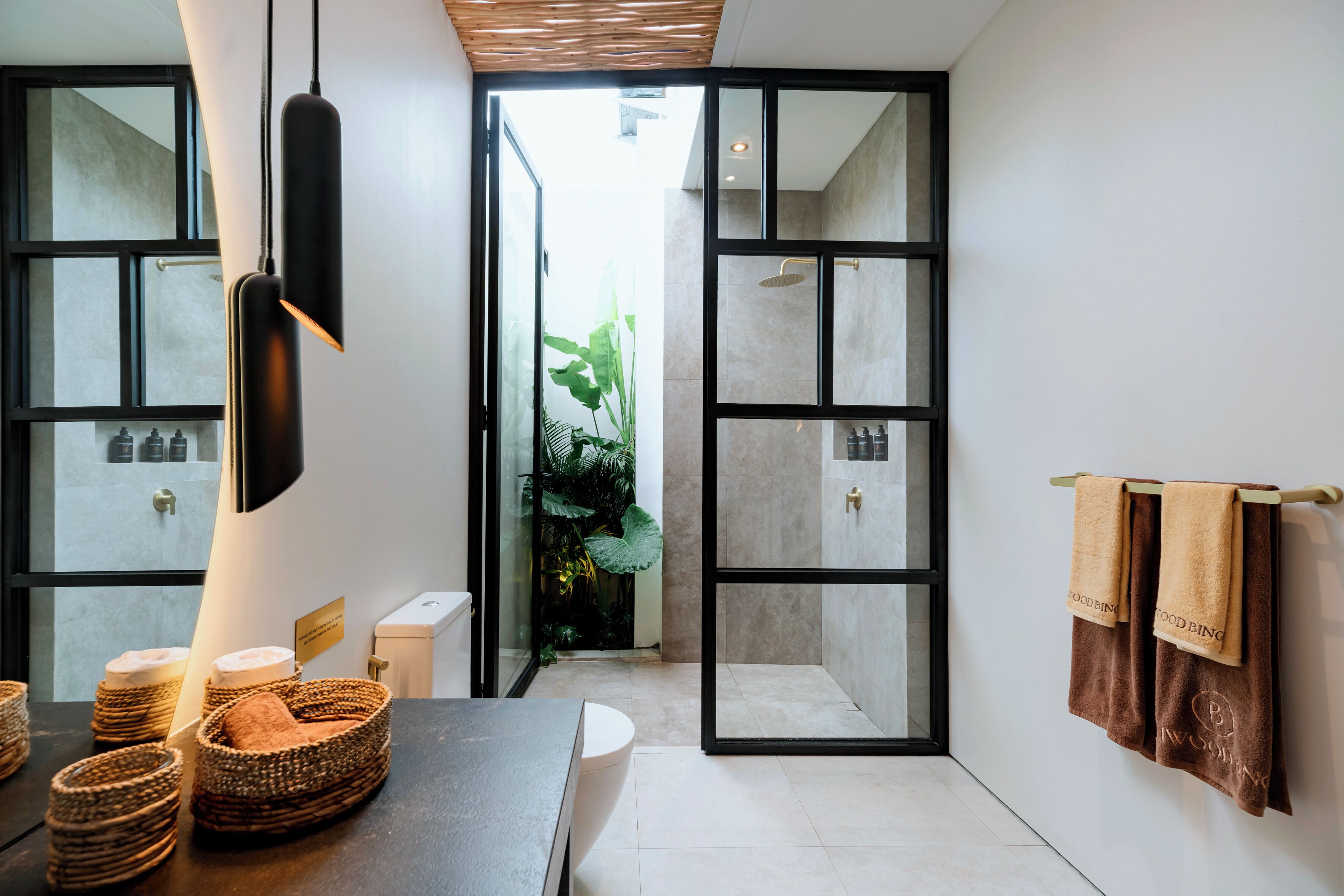A modern bathroom with a glass shower enclosure, a sink with a towel rack, and a large potted plant.