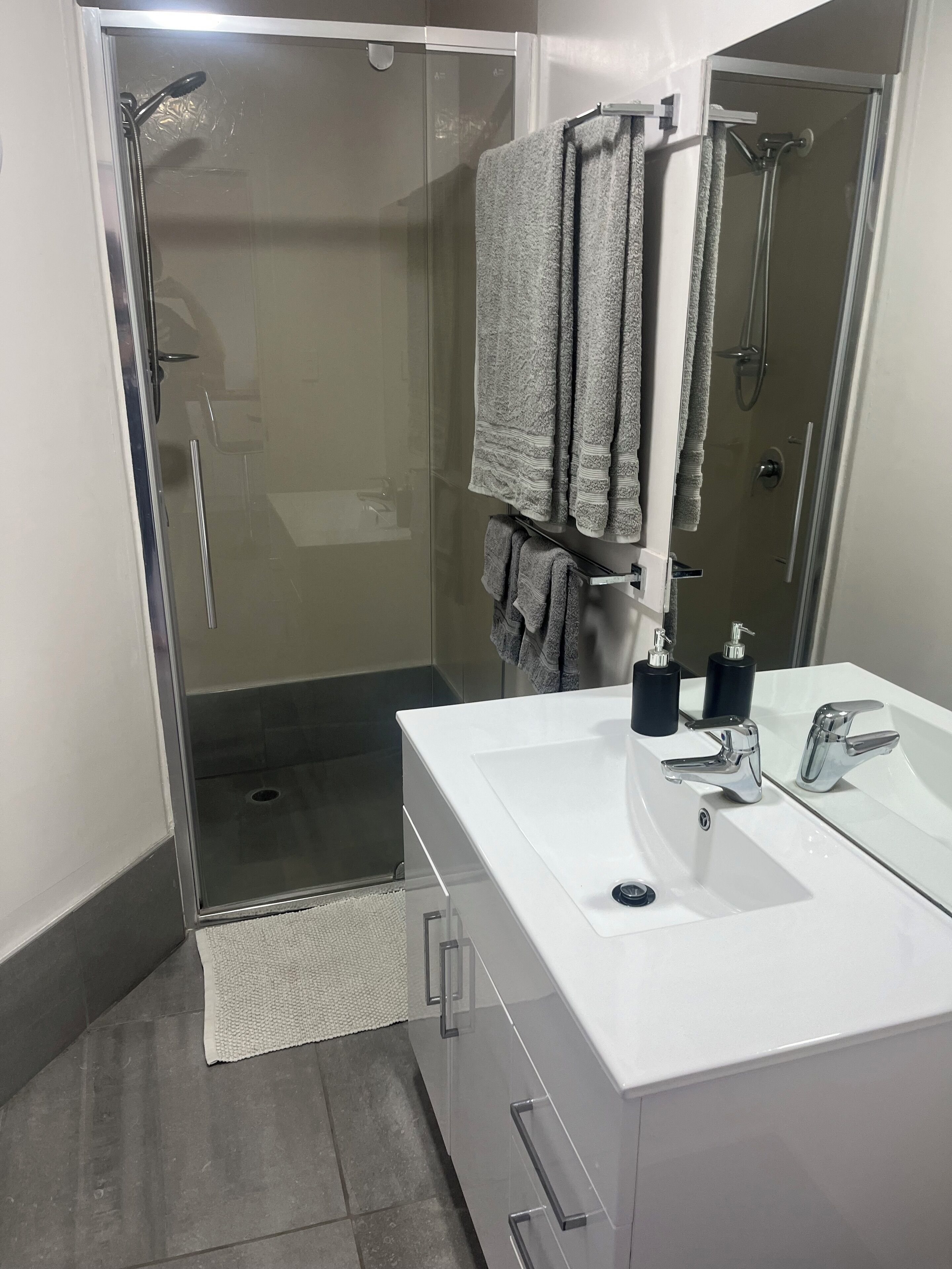 Hair dryer, towels, soap, toilet paper