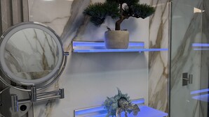 Un baño con pared de mármol, un espejo redondo, un bonsái en maceta y una estantería con una decoración de cangrejo.