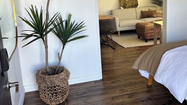 Un dormitorio con una cama, una planta en maceta, suelo de madera y un acceso a una sala de estar con sofá y lámpara.