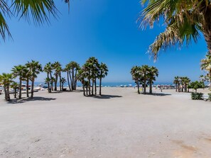 A beach with palm trees and a clear sky.