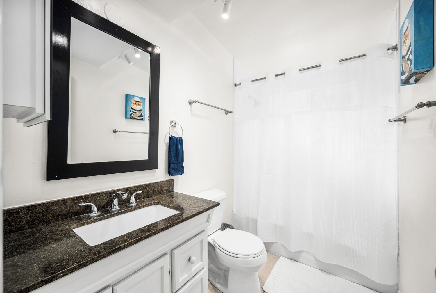 A bathroom with a granite countertop sink, a white toilet, a large mirror, and a shower curtain.