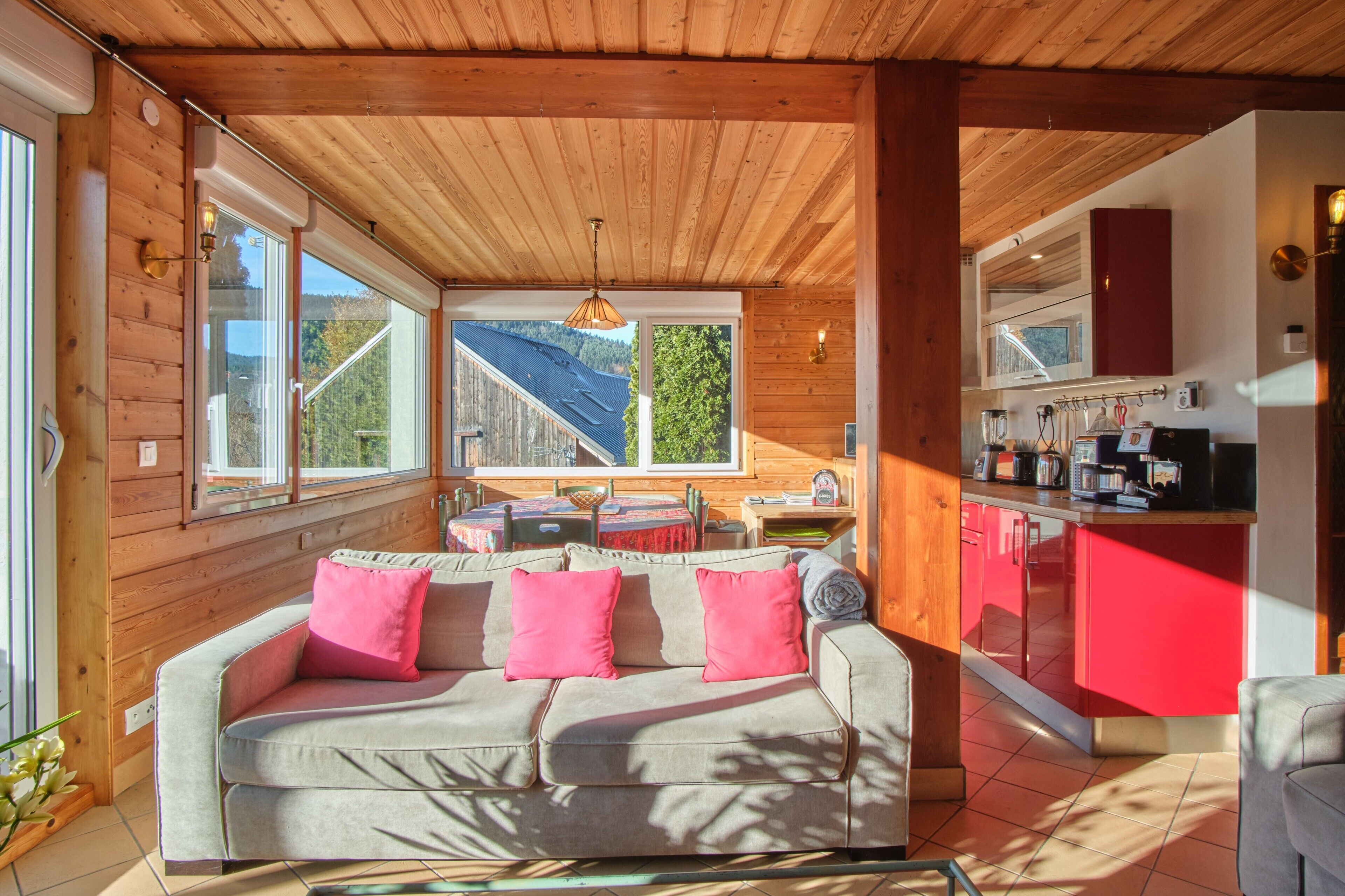 テレビ、DVD プレーヤー