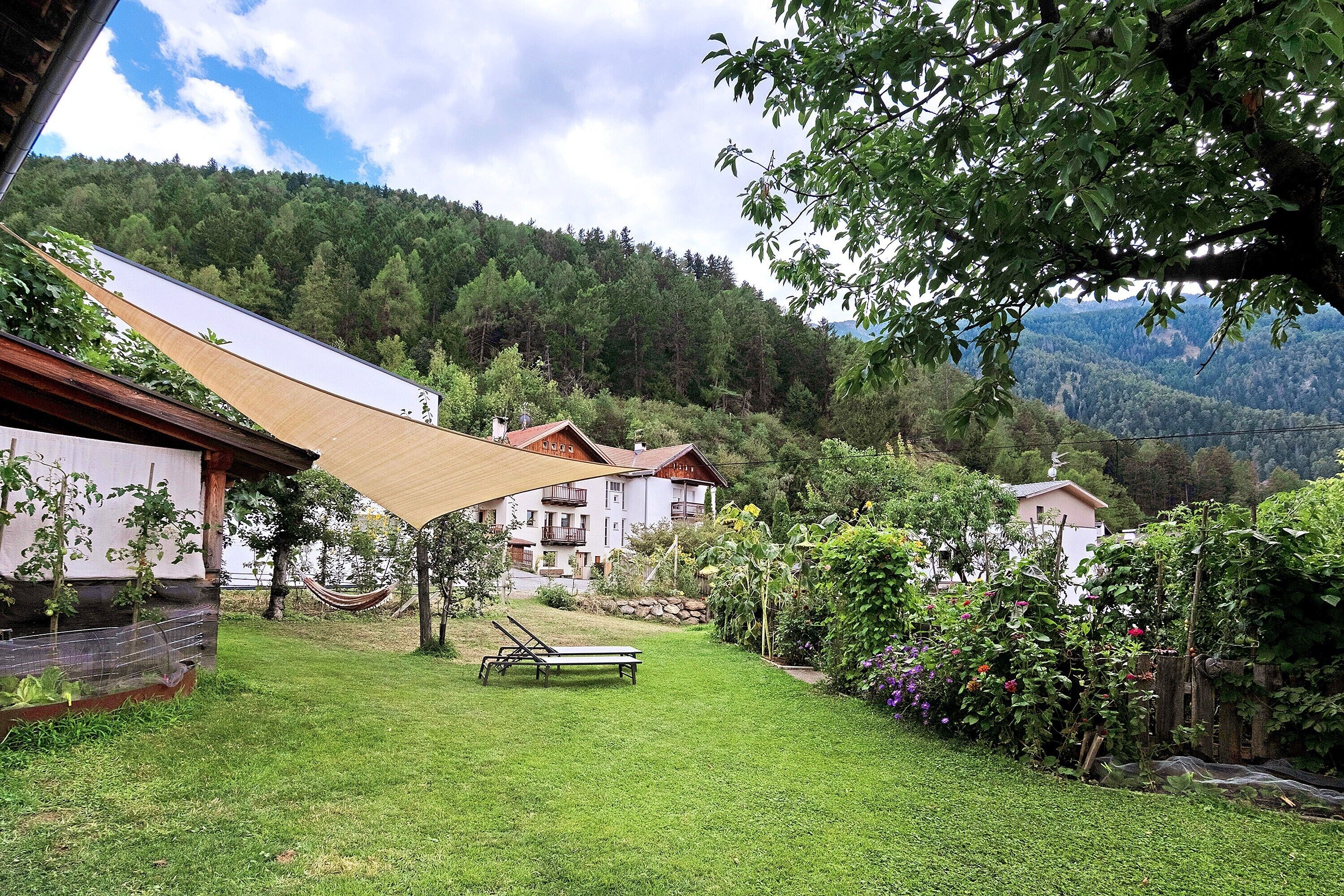 A residential area with a grassy lawn, a hammock, and a bench. There are houses with balconies and a mountain backdrop.