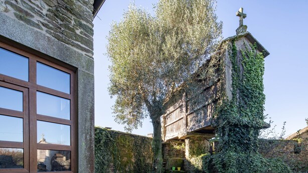 Ein Gebäude aus Stein mit einem großen Fenster und einem Baum davor.