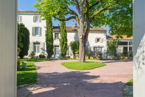 A courtyard with a paved walkway, a large tree, and a white building with multiple windows and shutters.