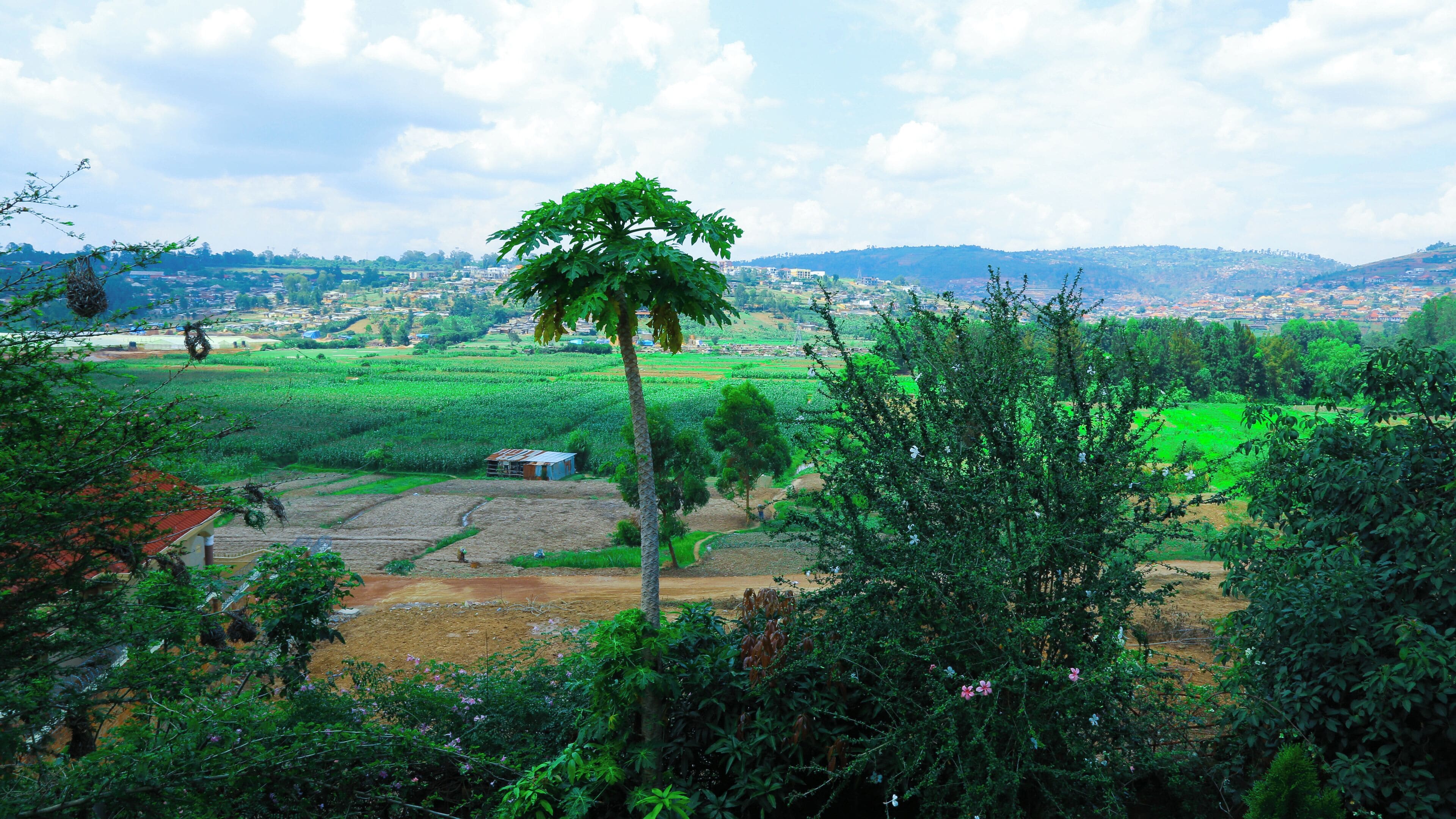 In-room safe, desk, iron/ironing board, free WiFi