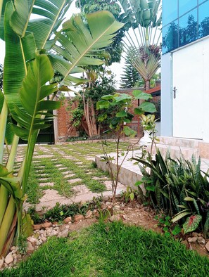 Vista desde la propiedad