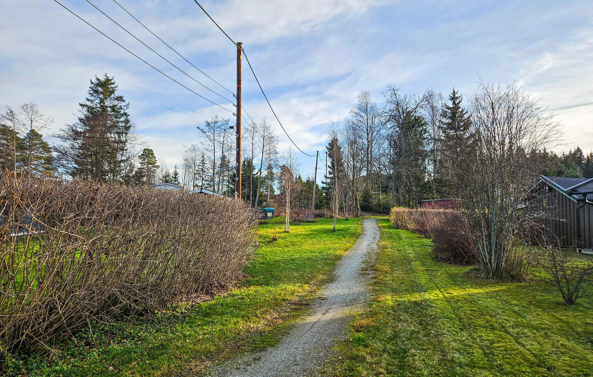 A gravel path in a rural setting with trees and shrubs on either side.