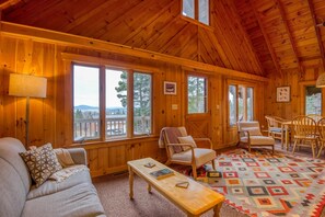 Télévision, cheminée, lecteur de DVD, livres