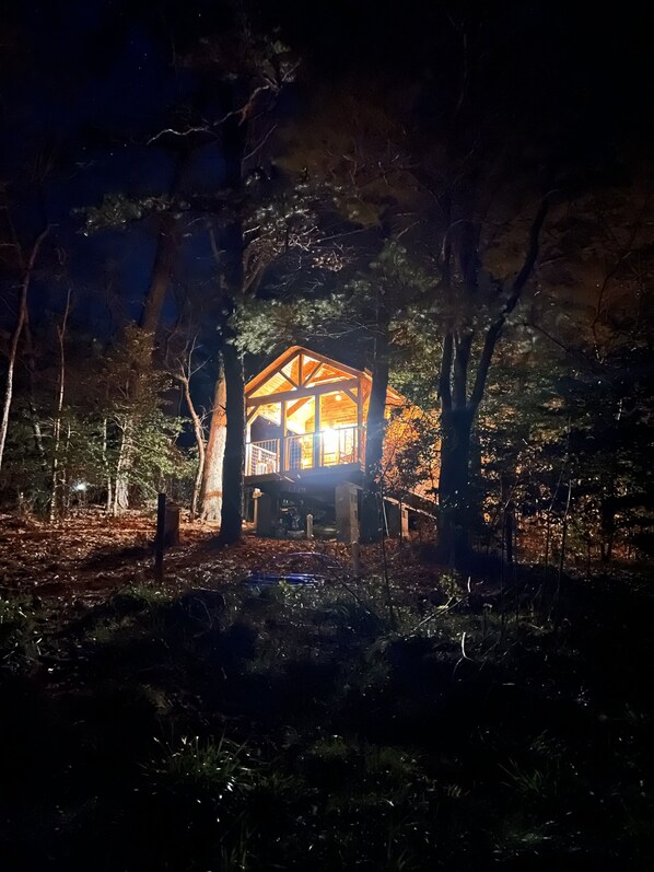 A cabin with a wooden structure, surrounded by trees and a forest floor.