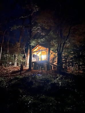 A cabin with a wooden structure, surrounded by trees and a forest floor.