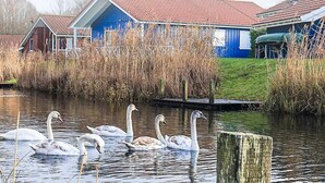 A house with a red-tiled roof and blue exterior walls, surrounded by a pond with swans. - 4 Star Holiday Home in Ottendorf (Otterndorf)