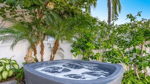 Ein Whirlpool, umgeben von üppiger Vegetation und einer weißen Mauer.