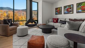 Smart TV, fireplace, stereo
