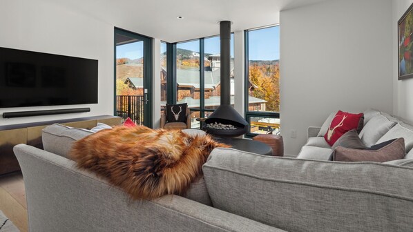 Smart TV, fireplace, stereo