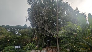 Un camí de pedra que serpenteja per un jardí exuberant, amb un pont de fusta i un senyal que indica zona apta per a famílies.
