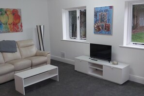 Televisor