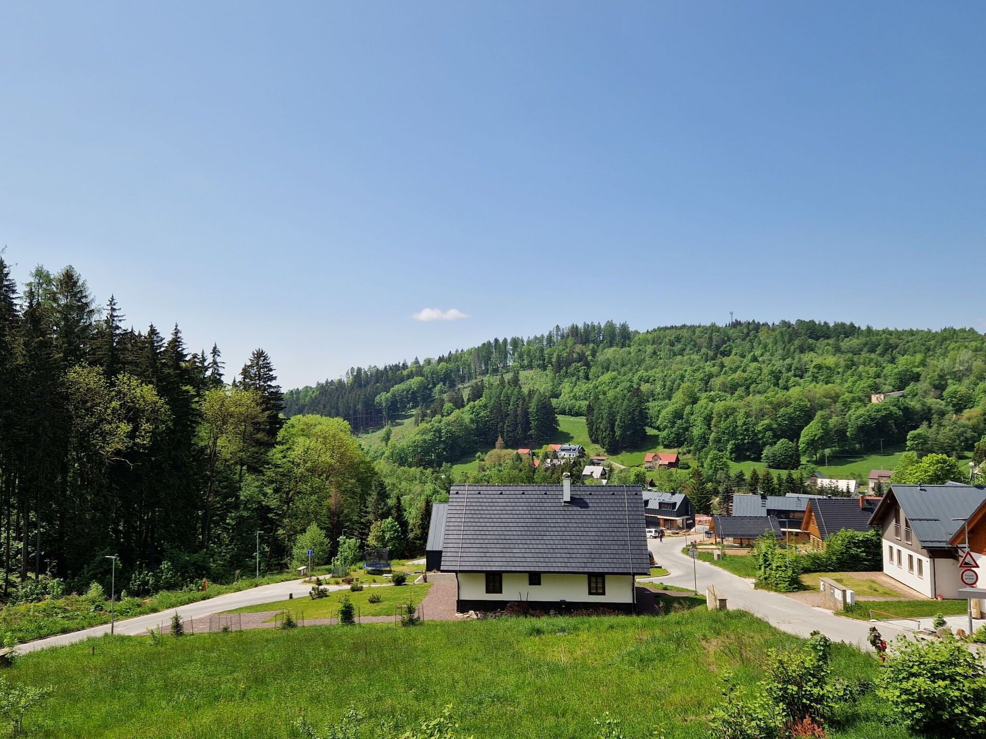 A residential area with houses, a road, and a forested hillside.
