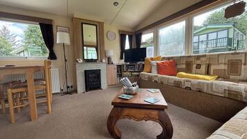 Televisión, chimenea y libros